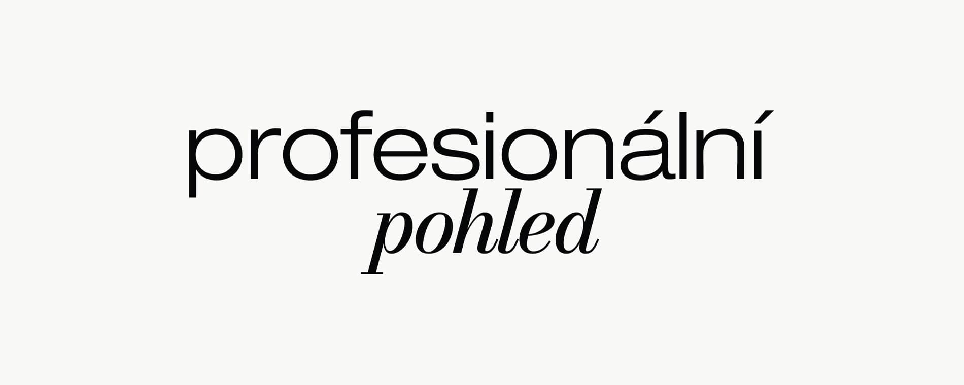 profesionální pohled